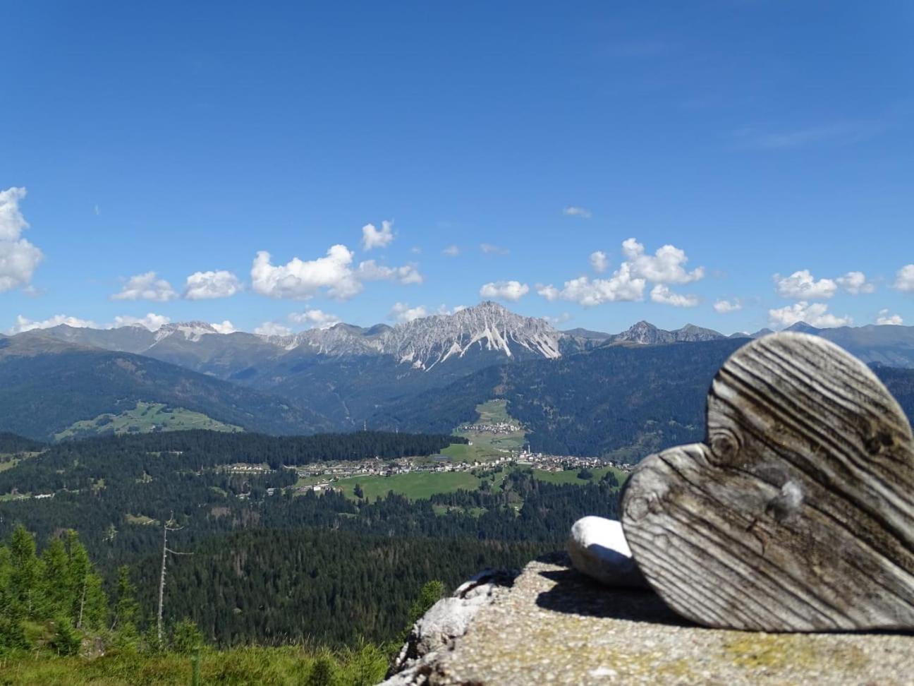 Appartamento Da Romano - Nel Cuore Delle Dolomiti Danta المظهر الخارجي الصورة